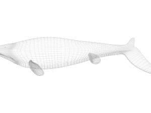 Mosasaurus Model 3D