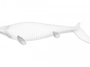 Mosasaurus 3D Model