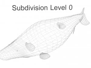 Mosasaurus 3D Model