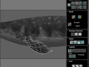 Mosasaurus Model 3D