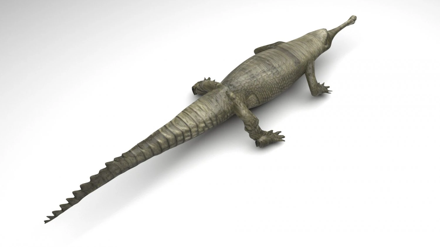 Crocodile 3D Model .c4d .max .obj .3ds .fbx .stl .blend 