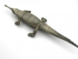 Crocodile 3D Model