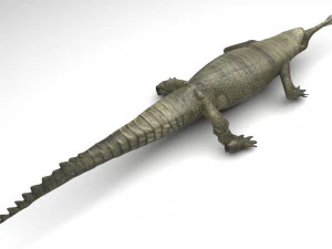 Crocodile 3D Model
