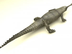 Crocodile 3D Model