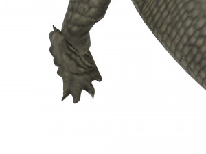 Crocodile 3D Model