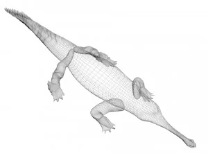 Crocodile 3D Model