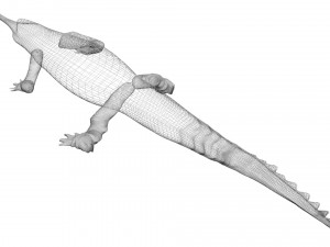 Crocodile 3D Model