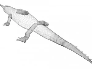 Crocodile 3D Model