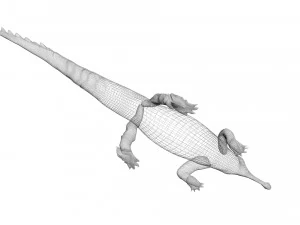 Crocodile 3D Model