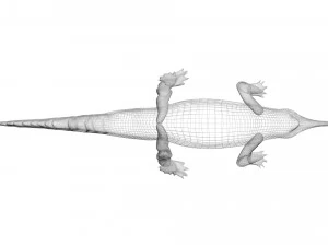 Crocodile 3D Model