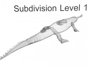 Crocodile 3D Model