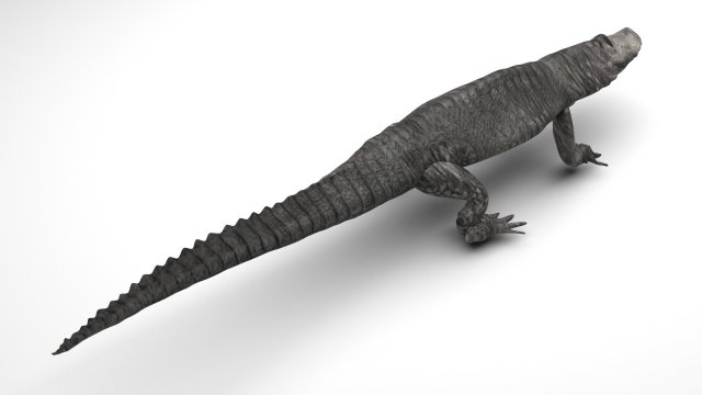 Crocodile 3D Model .c4d .max .obj .3ds .fbx .stl .blend