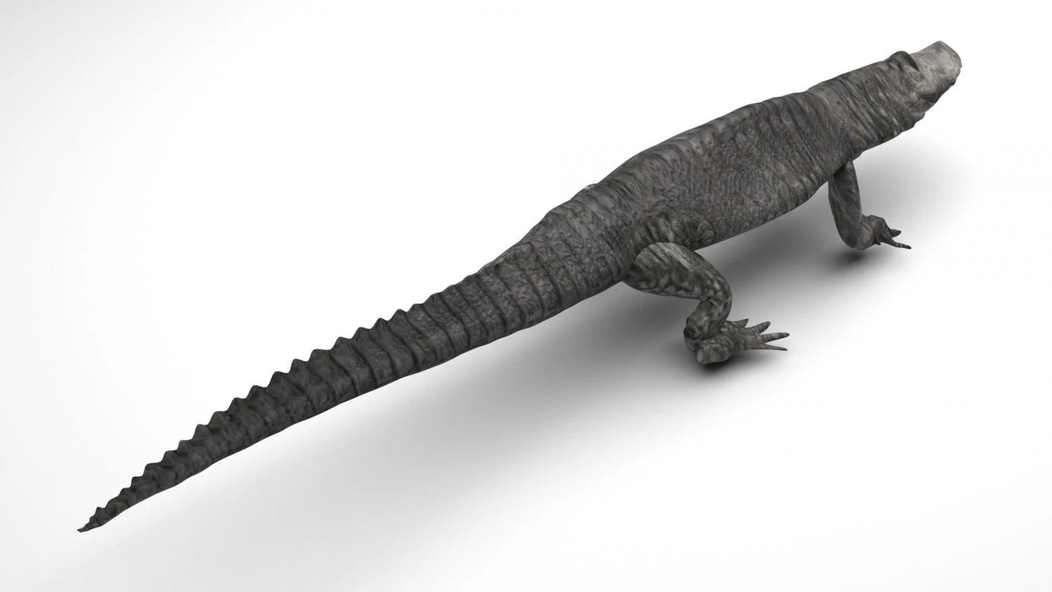 Crocodile 3D Model .c4d .max .obj .3ds .fbx .stl .blend 