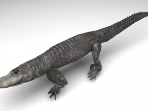 Crocodile 3D Model