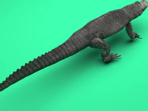 Crocodile 3D Model