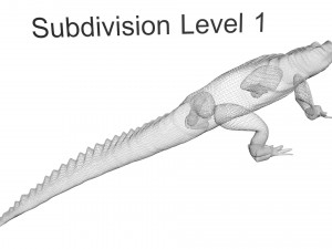 Crocodile 3D Model
