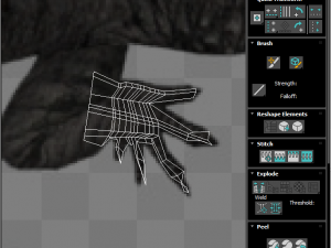 Crocodile 3D Model