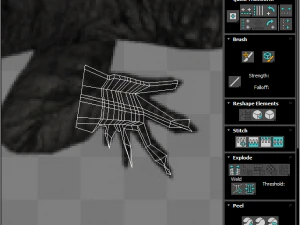 Crocodile 3D Model