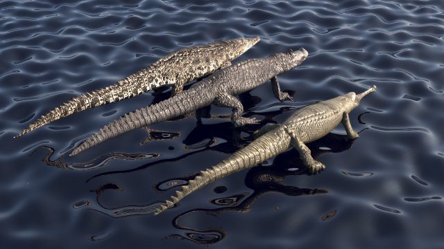 Crocodile Family In Water Model 3D .c4d .max .obj .3ds .fbx .stl .blend 