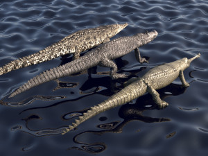 Crocodile Leather Texture – Dextrous 3D