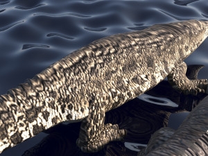 Crocodile Family In Water Model 3D