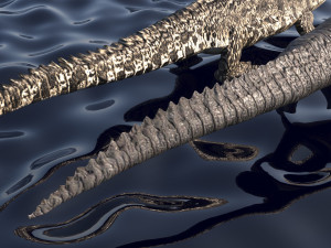 Crocodile Family In Water Model 3D