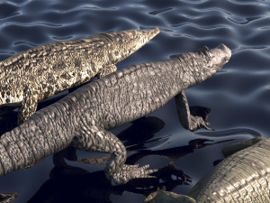 Crocodile Family In Water Model 3D