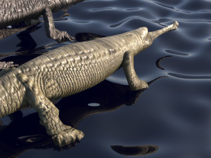 Crocodile Family In Water Model 3D
