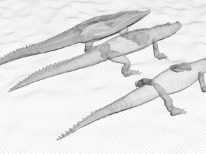 Crocodile Family In Water Model 3D