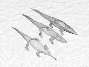 Crocodile Family In Water Model 3D