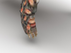 Turtle 3D 모델