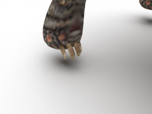 Turtle 3D 모델