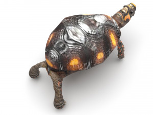 Turtle 3D 모델