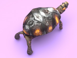 Turtle 3D 모델