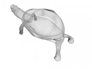 Tartaruga Modelo 3D