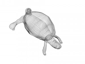 Turtle 3D 모델