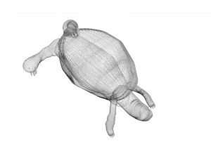 Tartaruga Modelo 3D