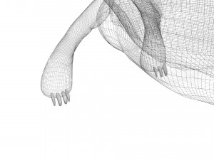 Turtle 3D 모델