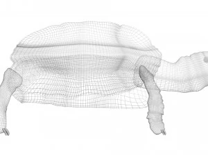 Tartaruga Modelo 3D