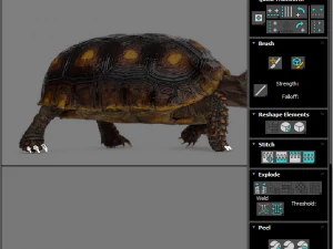 Tartaruga Modelo 3D