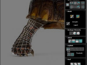 Turtle 3D 모델