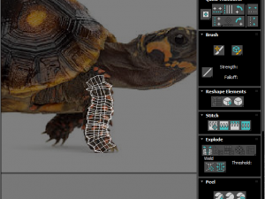 Turtle 3D 모델