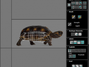 Turtle 3D 모델