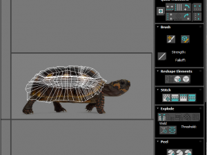 Turtle 3D 모델