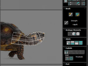Tartaruga Modelo 3D
