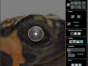 Turtle 3D 모델