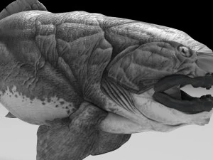 Dunklestous 3D Model