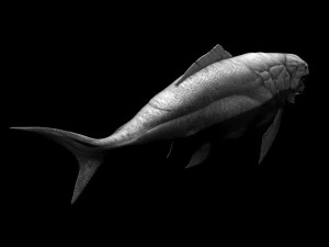 Dunklestous 3D Model