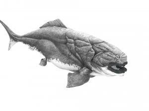Dunklestous 3D Model