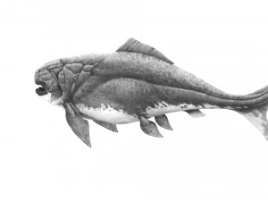 Dunklestous 3D Model